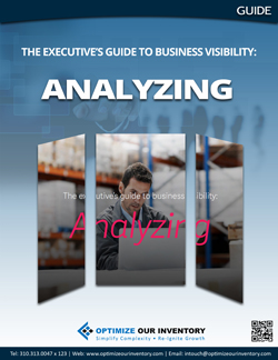 The executive’s guide to business visibility: Analyzing